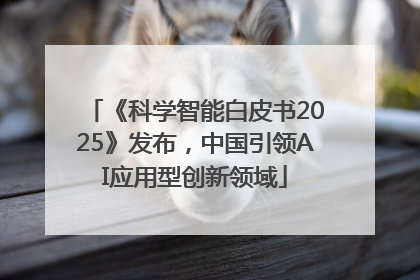 《科学智能白皮书2025》发布，中国引领AI应用型创新领域