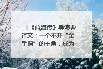 《藏海传》导演曹译文：一个不开“金手指”的主角，成为苍生守护者
