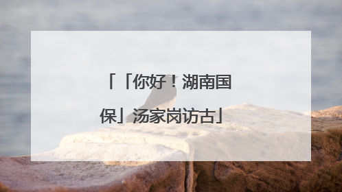「你好！湖南国保」汤家岗访古