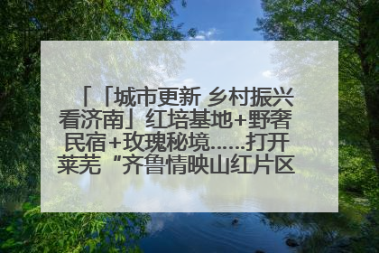 「城市更新 乡村振兴看济南」红培基地+野奢民宿+玫瑰秘境……打开莱芜“齐鲁情映山红片区”的破圈秘籍