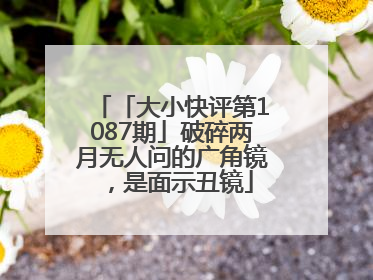 「大小快评第1087期」破碎两月无人问的广角镜，是面示丑镜