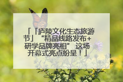 「庐陵文化生态旅游节」“精品线路发布+研学品牌亮相” 这场开幕式亮点纷呈！