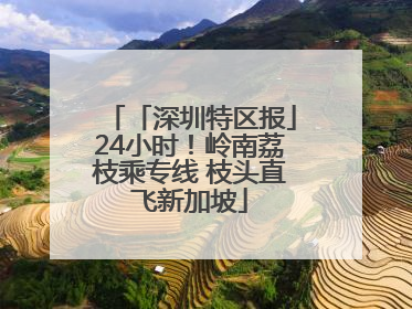 「深圳特区报」24小时！岭南荔枝乘专线 枝头直飞新加坡