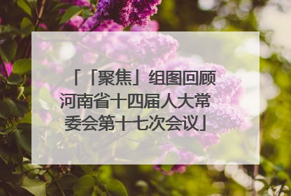 「聚焦」组图回顾河南省十四届人大常委会第十七次会议