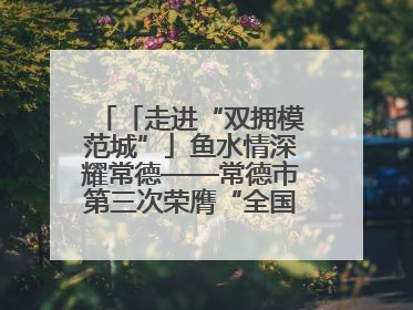 「走进“双拥模范城”」鱼水情深耀常德——常德市第三次荣膺“全国双拥模范城”
