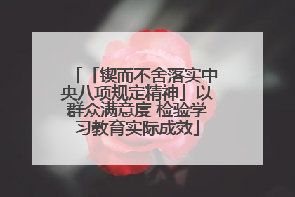 「锲而不舍落实中央八项规定精神」以群众满意度 检验学习教育实际成效