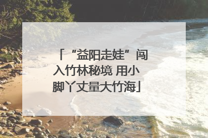 “益阳走娃”闯入竹林秘境 用小脚丫丈量大竹海