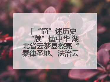 “简”述历史 “牍”懂中华 湖北省云梦县擦亮“秦律圣地、法治云梦”名片