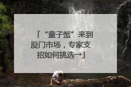 “童子蟹”来到厦门市场，专家支招如何挑选→
