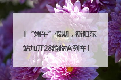 “端午”假期，衡阳东站加开28趟临客列车