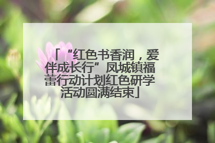 “红色书香润，爱伴成长行”凤城镇福蕾行动计划红色研学活动圆满结束
