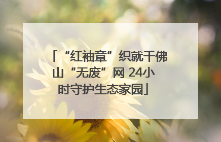 “红袖章”织就千佛山“无废”网 24小时守护生态家园