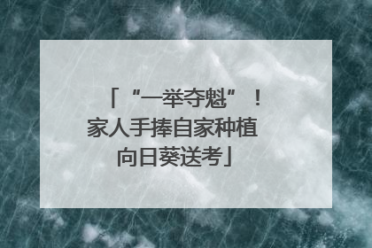 “一举夺魁”！家人手捧自家种植向日葵送考