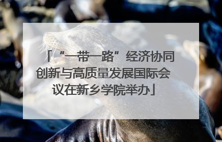 “一带一路”经济协同创新与高质量发展国际会议在新乡学院举办
