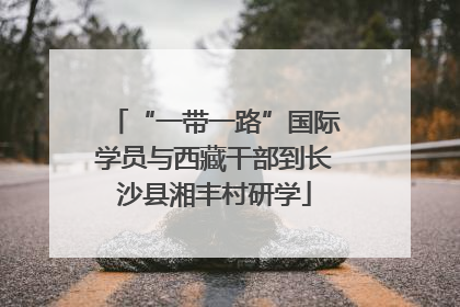 “一带一路”国际学员与西藏干部到长沙县湘丰村研学