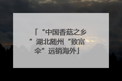 “中国香菇之乡”湖北随州“致富伞”远销海外