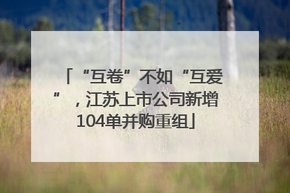 “互卷”不如“互爱”，江苏上市公司新增104单并购重组