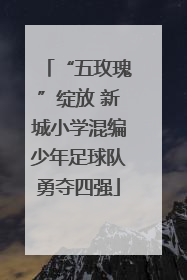 “五玫瑰”绽放 新城小学混编少年足球队勇夺四强