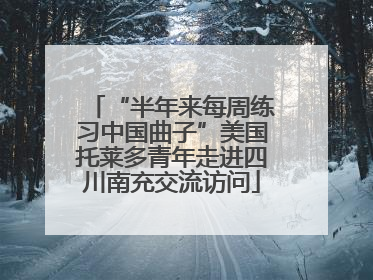 “半年来每周练习中国曲子”美国托莱多青年走进四川南充交流访问