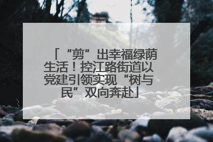 “剪”出幸福绿荫生活！控江路街道以党建引领实现“树与民”双向奔赴