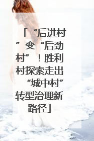 “后进村”变“后劲村”！胜利村探索走出“城中村”转型治理新路径