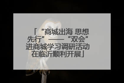 “商城出海 思想先行”——“双会”进商城学习调研活动在临沂顺利开展