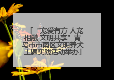 “宠爱有方 人宠相融 文明共享”青岛市市南区文明养犬主题实践活动举办