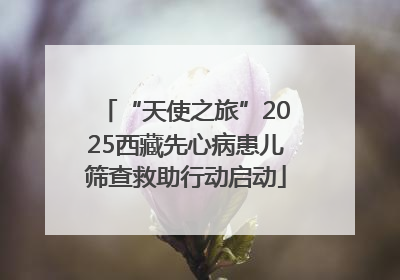“天使之旅”2025西藏先心病患儿筛查救助行动启动