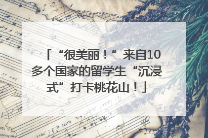 “很美丽！”来自10多个国家的留学生“沉浸式”打卡桃花山！