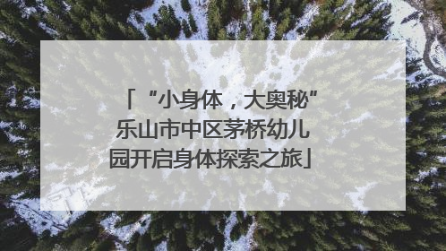 “小身体，大奥秘” 乐山市中区茅桥幼儿园开启身体探索之旅