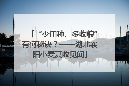 “少用种、多收粮”有何秘诀？——湖北襄阳小麦夏收见闻