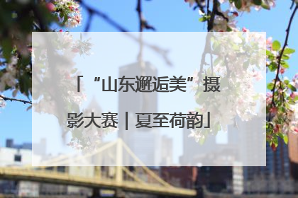 “山东邂逅美”摄影大赛｜夏至荷韵
