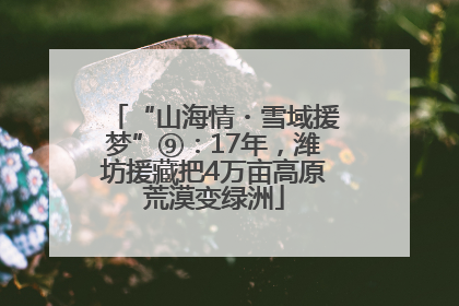 “山海情・雪域援梦”⑨：17年，潍坊援藏把4万亩高原荒漠变绿洲