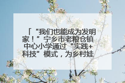 “我们也能成为发明家！”宁乡市老粮仓镇中心小学通过“实践+科技”模式，为乡村娃探索教育新路径