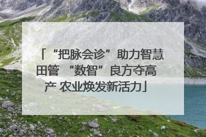 “把脉会诊”助力智慧田管 “数智”良方夺高产 农业焕发新活力