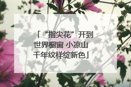 “指尖花”开到世界橱窗 小凉山千年纹样绽新色