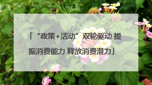“政策+活动”双轮驱动 提振消费能力 释放消费潜力