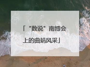“数说”南博会上的曲靖风采