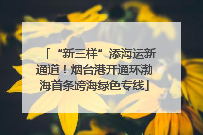“新三样”添海运新通道！烟台港开通环渤海首条跨海绿色专线