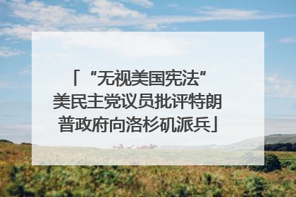 “无视美国宪法” 美民主党议员批评特朗普政府向洛杉矶派兵
