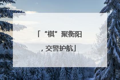 “棋”聚衡阳，交警护航