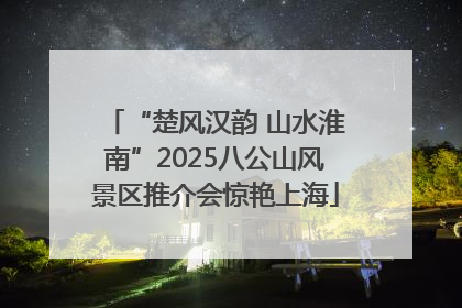 “楚风汉韵 山水淮南”2025八公山风景区推介会惊艳上海