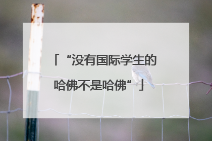 “没有国际学生的哈佛不是哈佛”