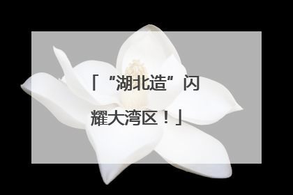 “湖北造”闪耀大湾区！