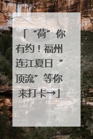 “荷”你有约！福州连江夏日“顶流”等你来打卡→