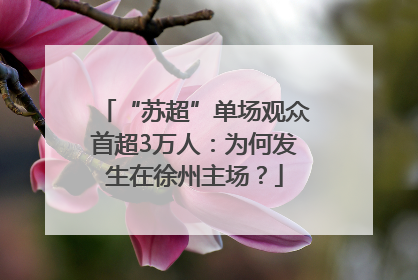 “苏超”单场观众首超3万人：为何发生在徐州主场？
