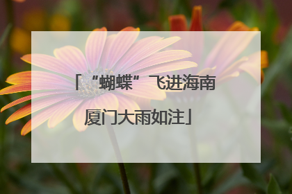 “蝴蝶”飞进海南 厦门大雨如注