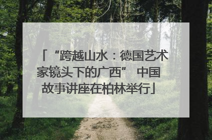 “跨越山水：德国艺术家镜头下的广西” 中国故事讲座在柏林举行
