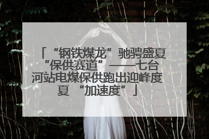 “钢铁煤龙”驰骋盛夏 “保供赛道”——七台河站电煤保供跑出迎峰度夏 “加速度”
