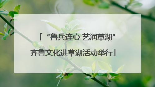 “鲁兵连心 艺润草湖”齐鲁文化进草湖活动举行